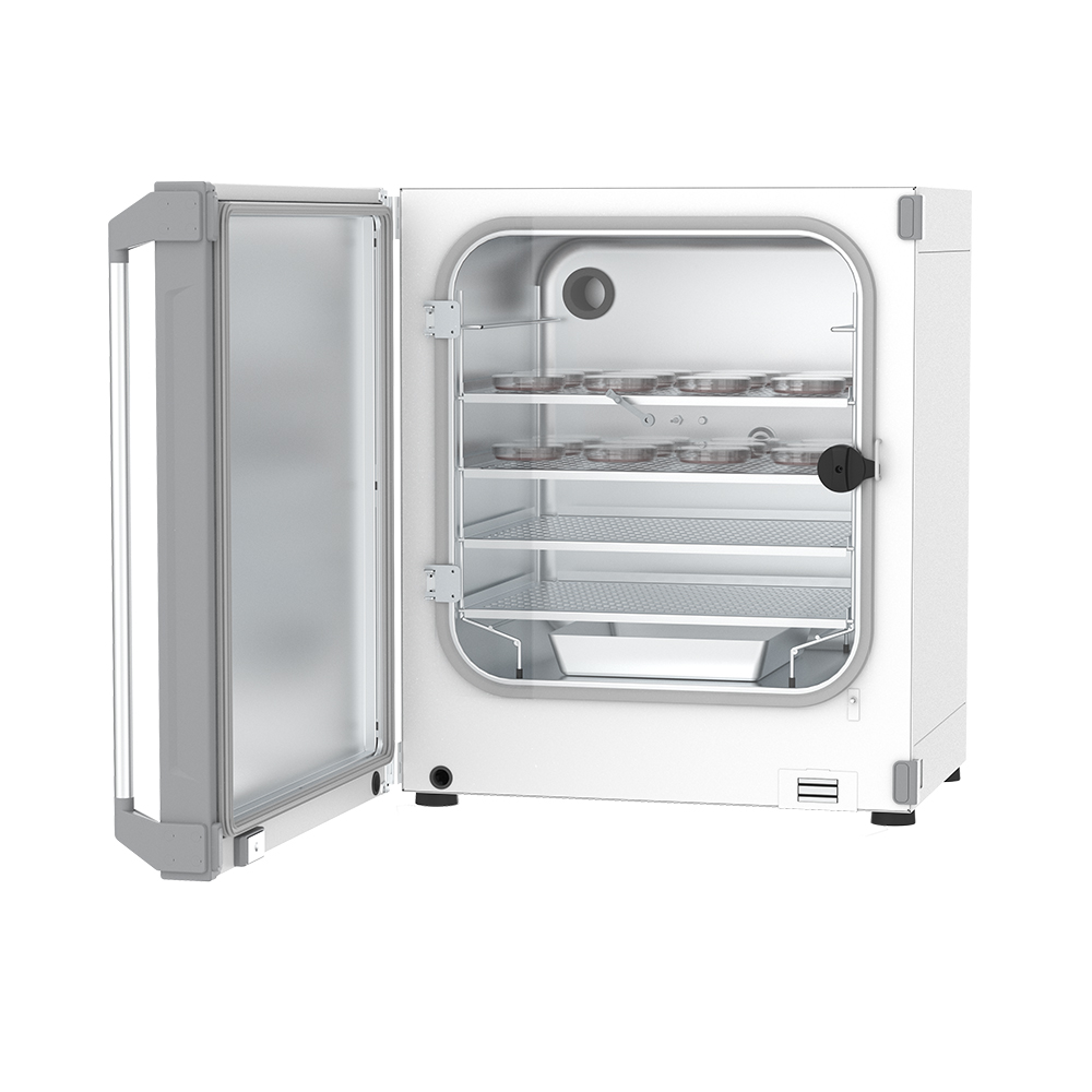 ��ǰ����