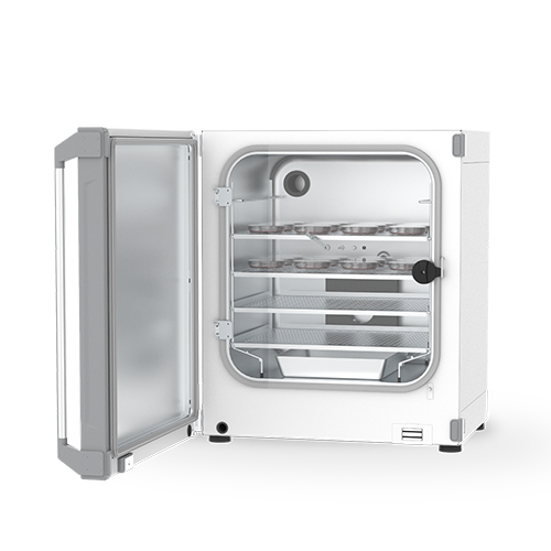 ��ǰ����