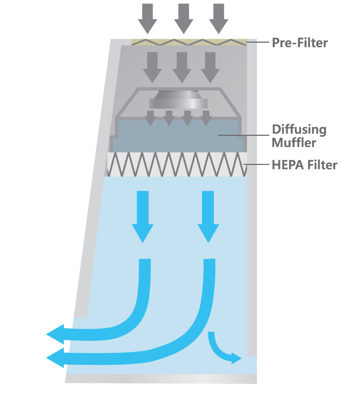 Basic Vertical Laminar Flow